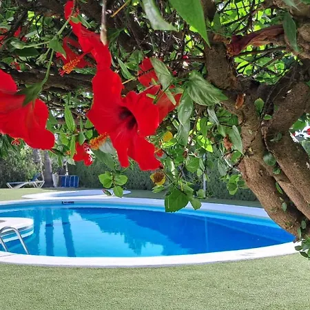 Apartment Apto Calle Barranquizo